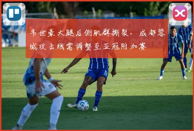 韦世豪大腿后侧肌群撕裂，成都蓉城攻击线需调整至亚冠附加赛